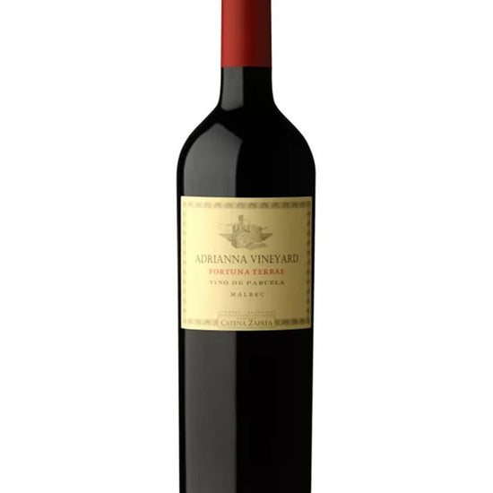 Catena Zapata Adrianna Vineyard Fortuna Terrae Malbec 2021 vintage Malbec wine from Mendoza