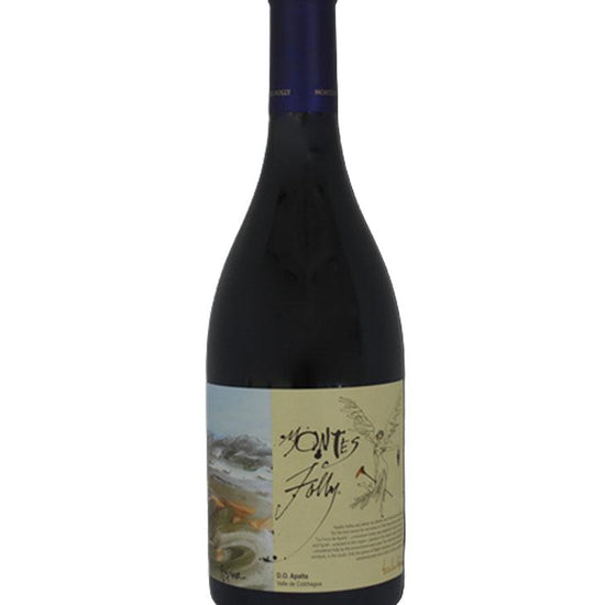 Montes Folly Syrah 2020 red wine bottle from Apalta, Valle de Colchagua, Chile