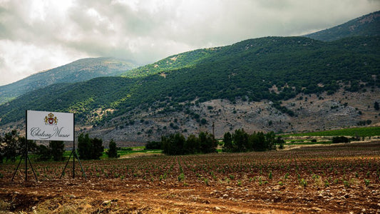 Château Musar – A Legacy of Lebanese Winemaking Excellence
