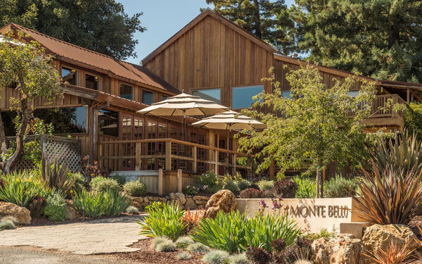 High Ridge Wine Ridge Vineyards: A Legacy of Sustainable Winemaking Since 1962 – Divine ...