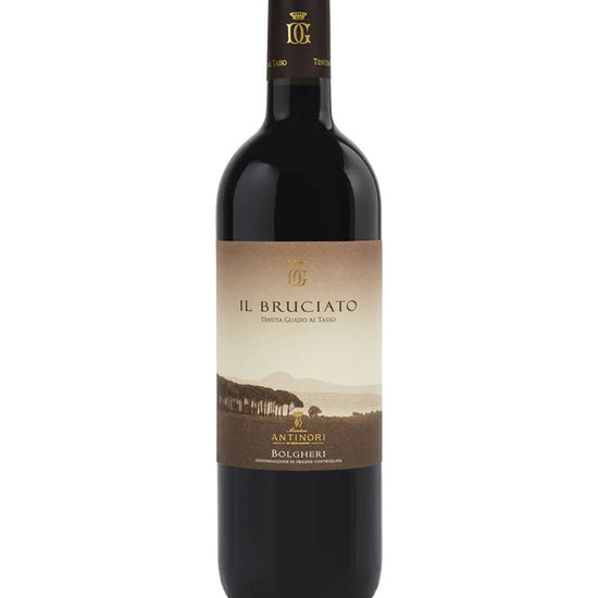 Wine bottle labeled 'Il Bruciato' on a white background